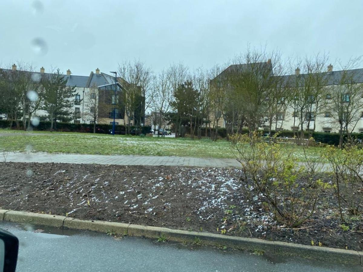 Exquisite Modern Homely 2 Bed With On-street Parking, Super Fast Wifi & 5 Mins Drive To Science & Business Parks Apartemen *